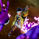 King of Fighters XV's Isla seen from above, a pair of purple, disembodied hands cradling the viewer.